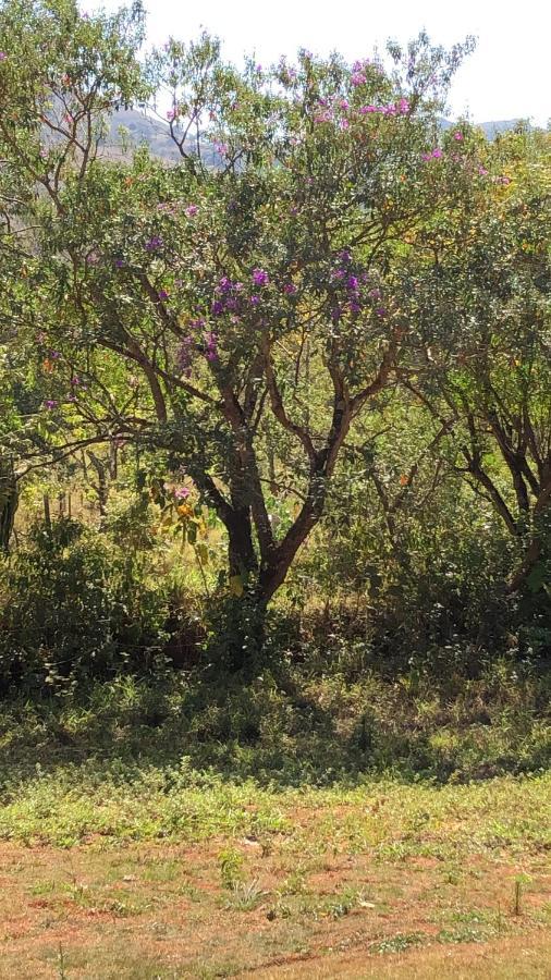 Chales Maricota Vargem Bonita Εξωτερικό φωτογραφία